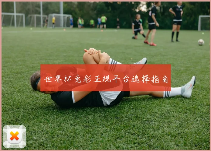 世界杯竞彩正规平台选择指南