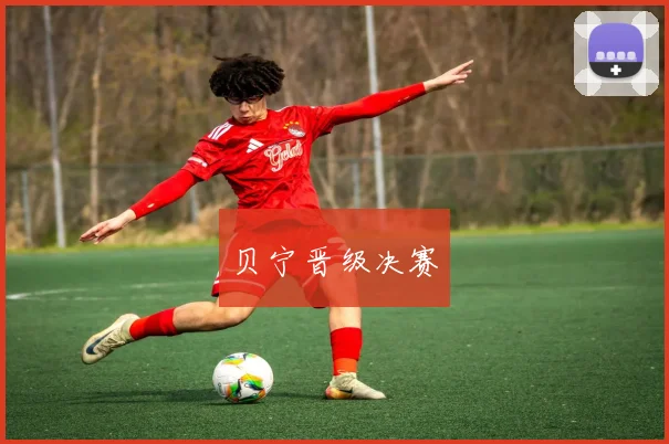 贝宁晋级决赛