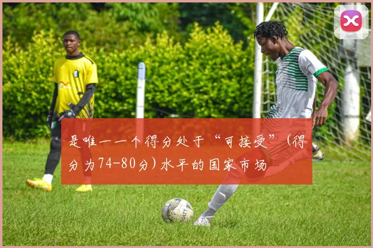 是唯一一个得分处于“可接受”(得分为74-80分)水平的国家市场