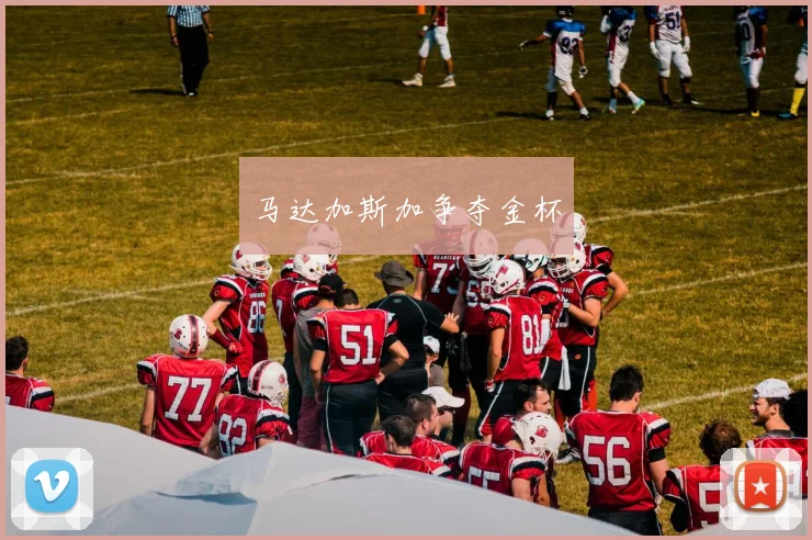 马达加斯加争夺金杯