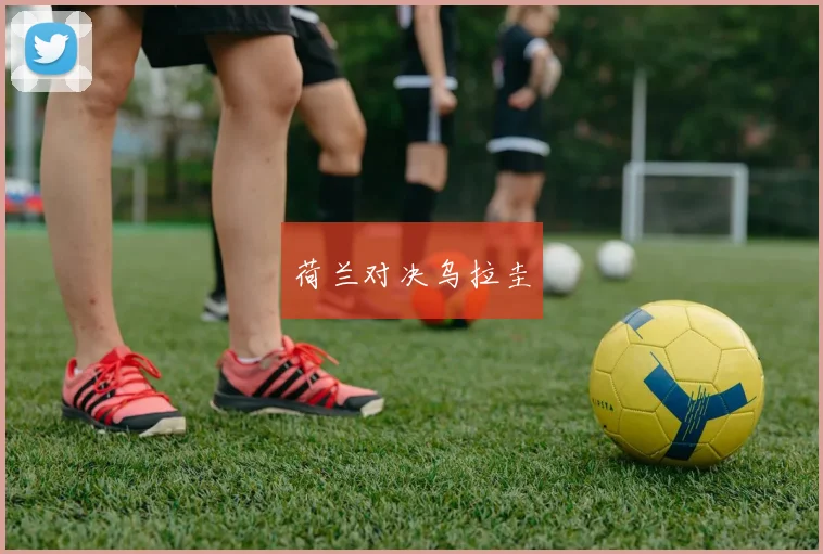 荷兰对决乌拉圭