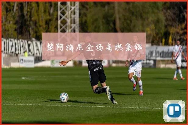 楚阿梅尼全场高燃集锦