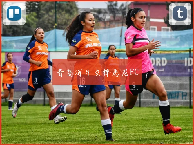 青岛海牛交锋悉尼FC