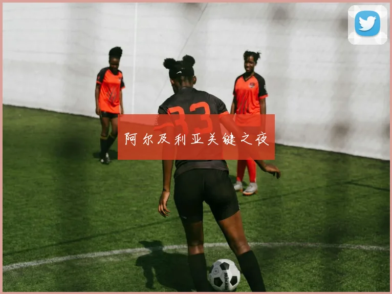阿尔及利亚关键之夜