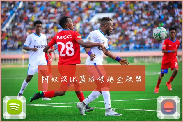 阿奴诺比篮板领跑全联盟