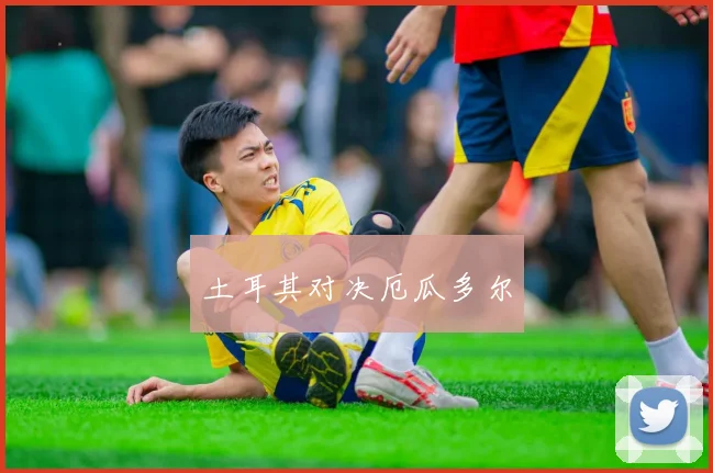土耳其对决厄瓜多尔