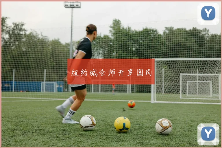 纽约城会师开罗国民