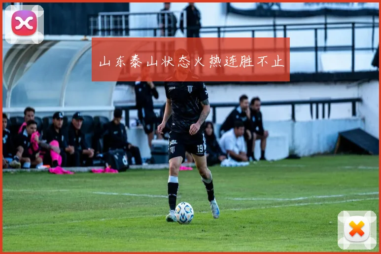 山东泰山状态火热连胜不止