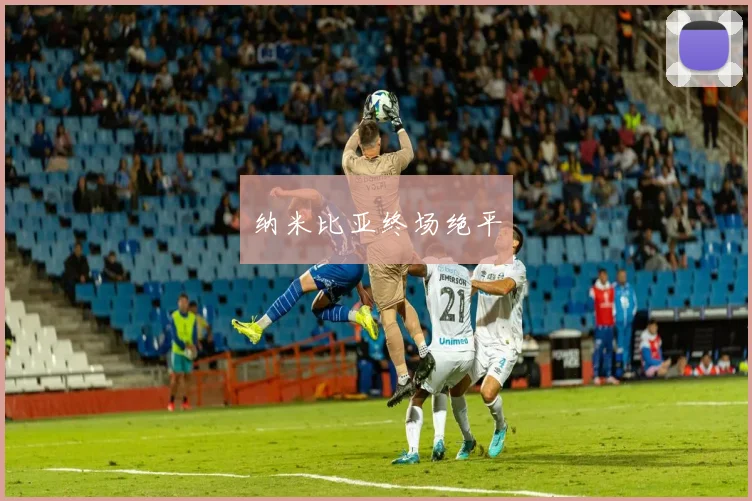 纳米比亚终场绝平