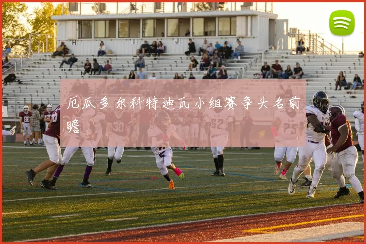 厄瓜多尔科特迪瓦小组赛争头名前瞻