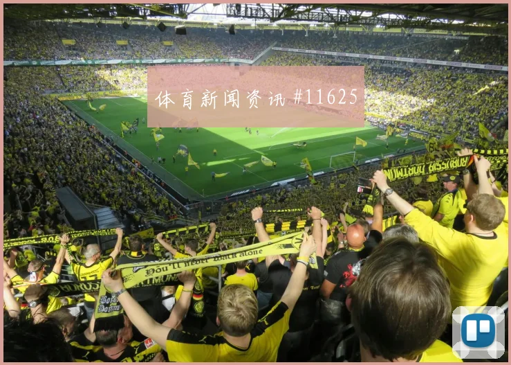 E组科特迪瓦vs厄瓜多尔关键战分析