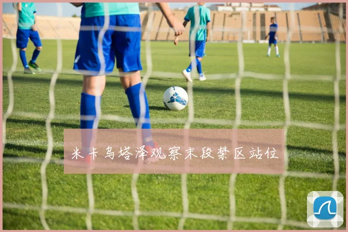 米卡乌塔泽观察末段禁区站位