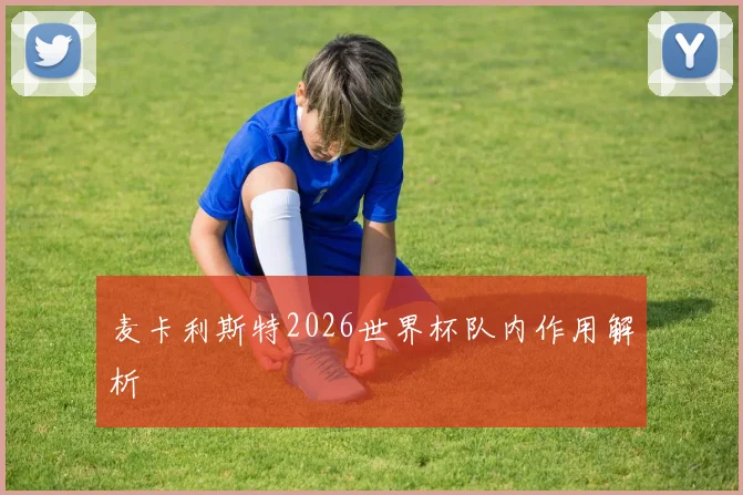 麦卡利斯特2026世界杯队内作用解析