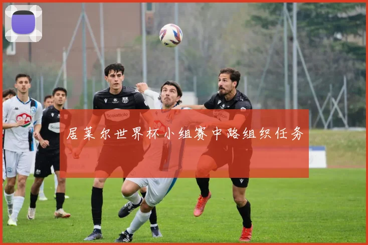 居莱尔世界杯小组赛中路组织任务